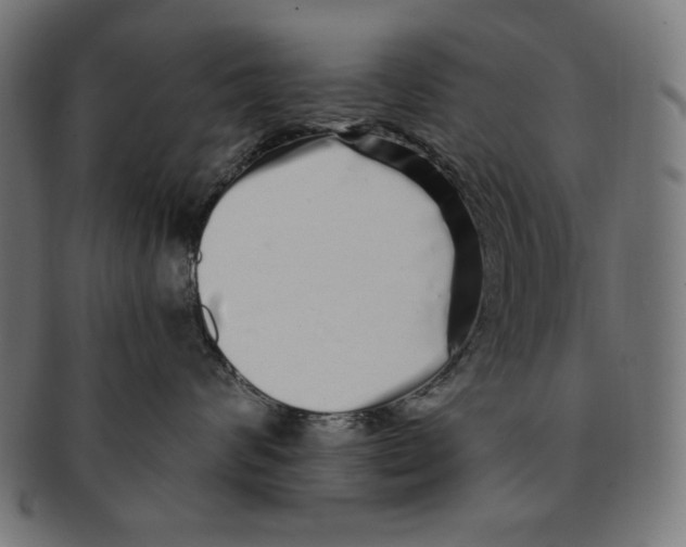 X0000091210624200709061440