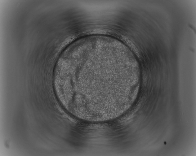 X0000091210625200709061440