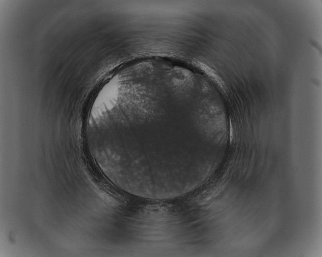 X0000091210627200709061440