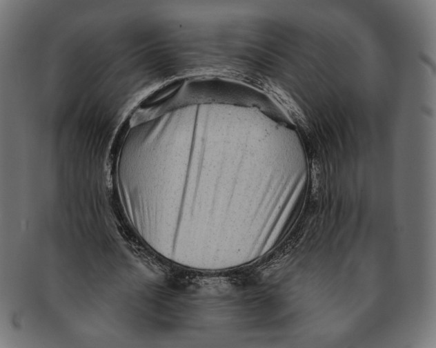 X0000091210628200709061440