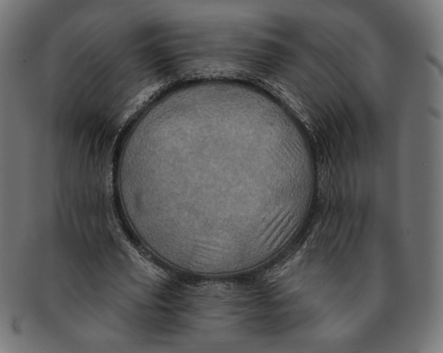 X0000091210629200709061440