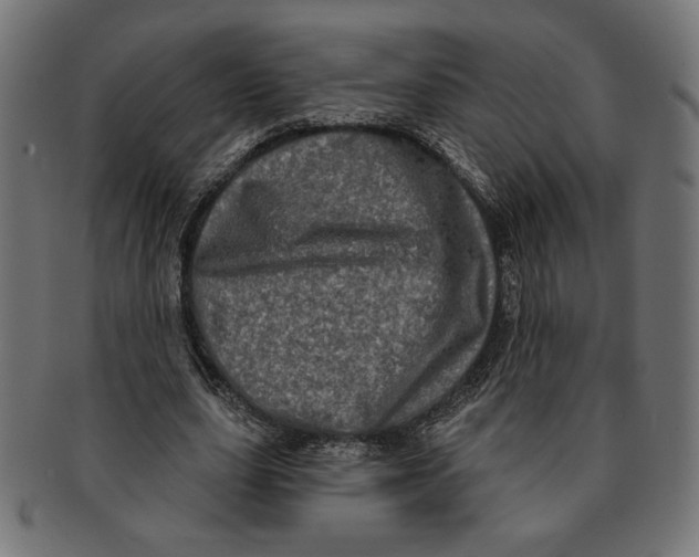 X0000091210631200709061440