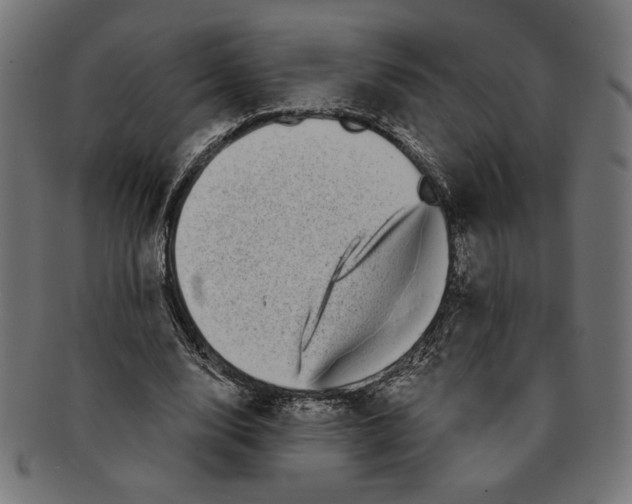 X0000091210632200709061440