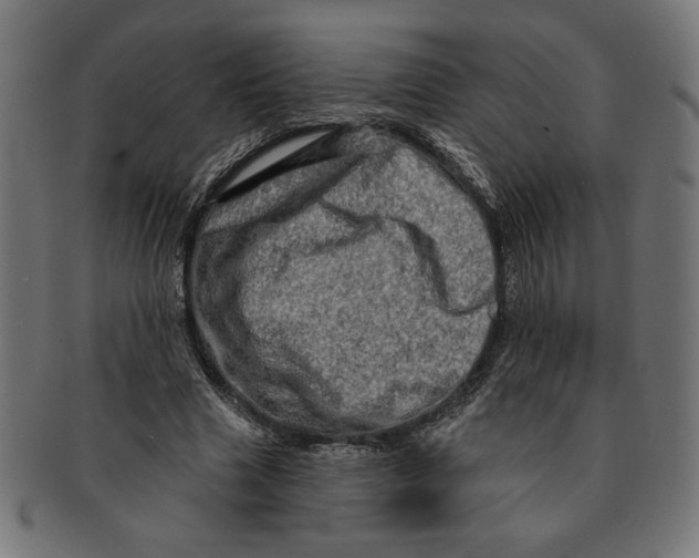 X0000091210633200709061440