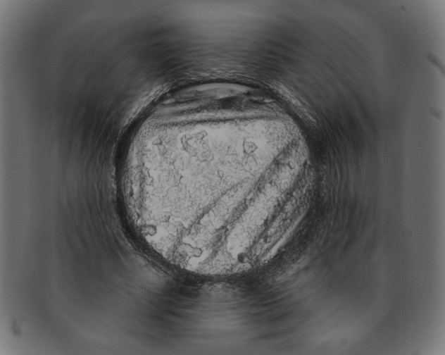 X0000091210634200709061440