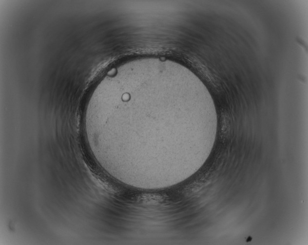 X0000091210636200709061440