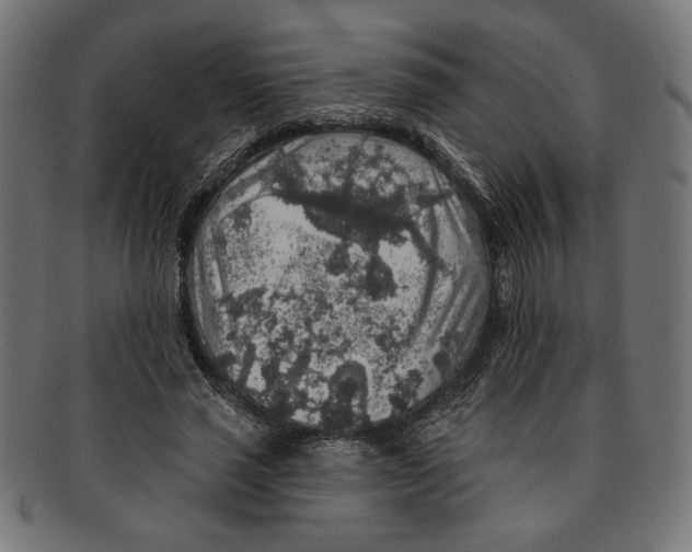 X0000091210637200709061440