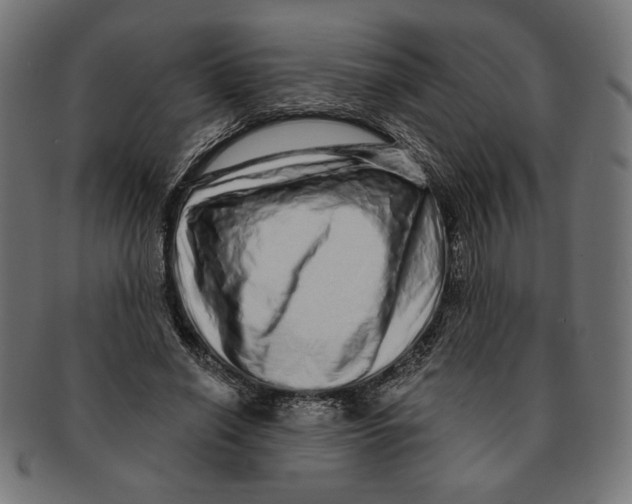 X0000091210638200709061440