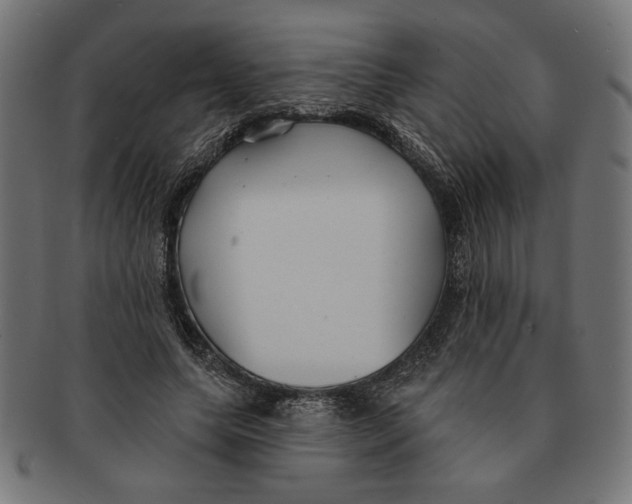 X0000091210639200709061440