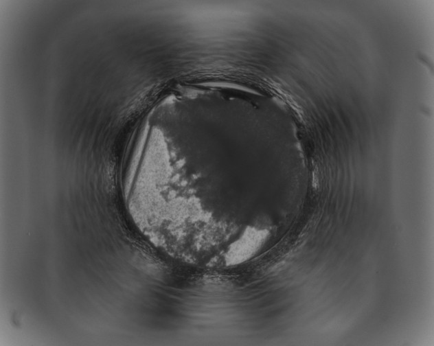 X0000091210641200709061440