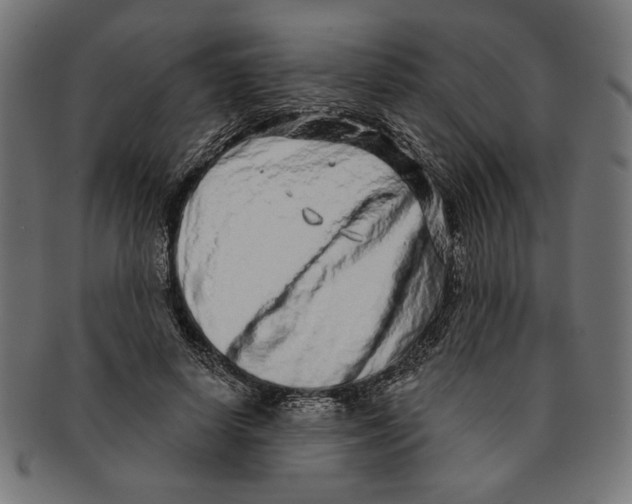 X0000091210642200709061440