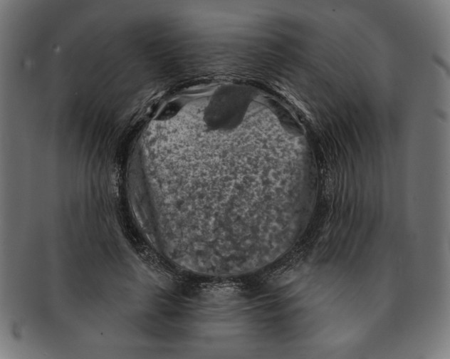 X0000091210643200709061440