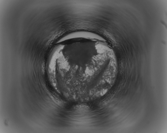 X0000091210644200709061440