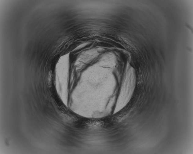 X0000091210646200709061440