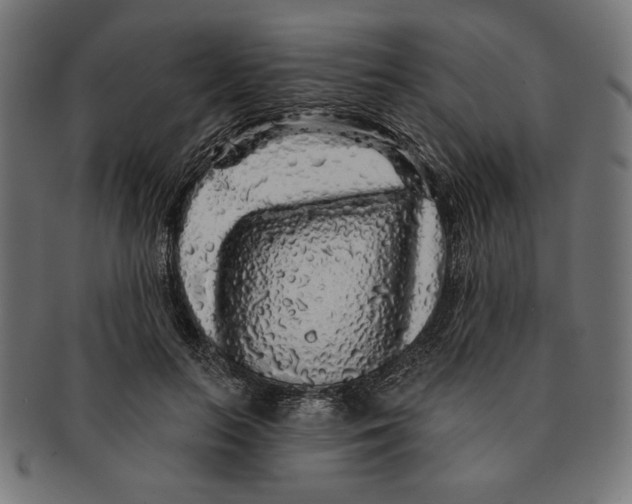 X0000091210647200709061440