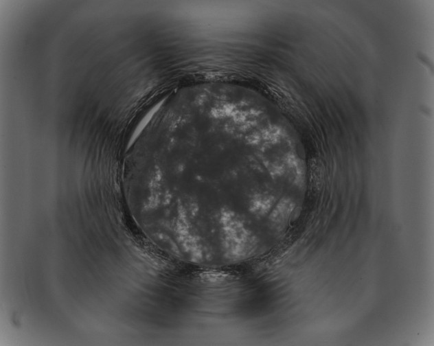 X0000091210650200709061440