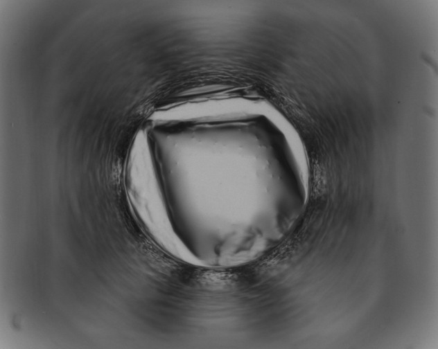 X0000091210657200709061440