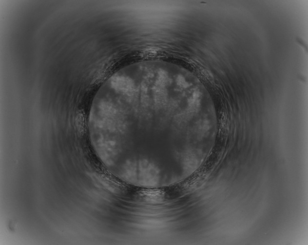 X0000091210659200709061440