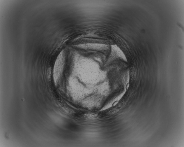 X0000091210660200709061440