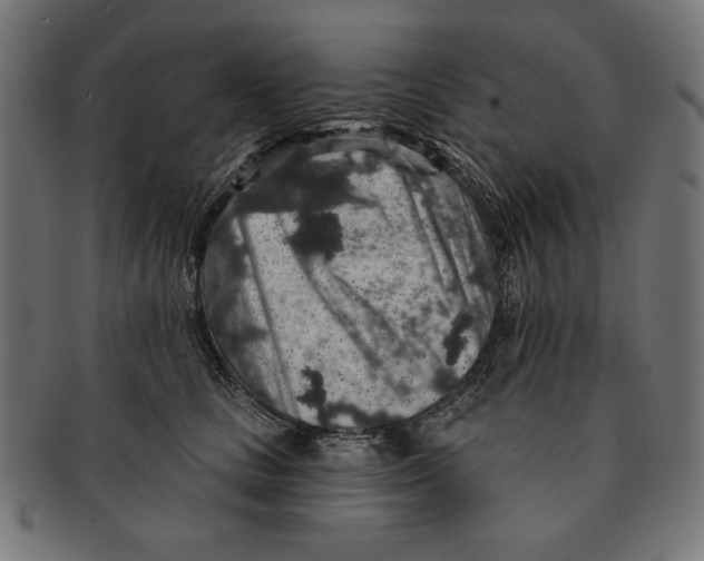 X0000091210661200709061440