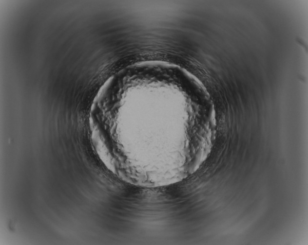 X0000091210662200709061440