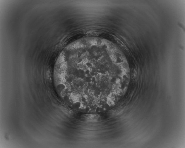 X0000091210663200709061440