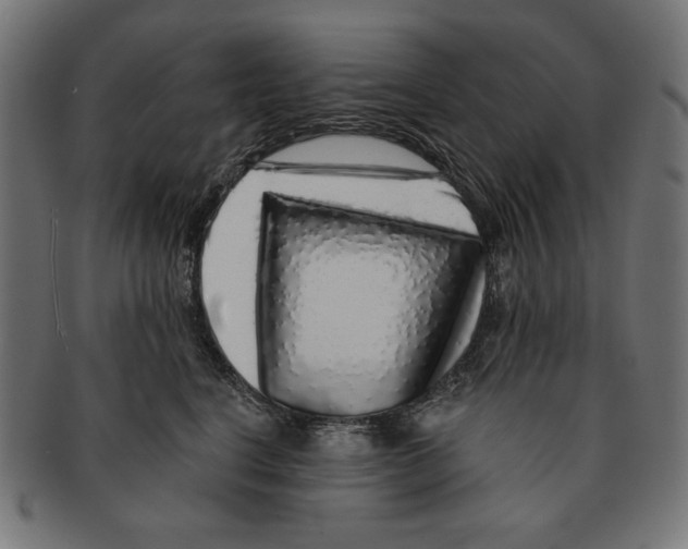 X0000091210664200709061440