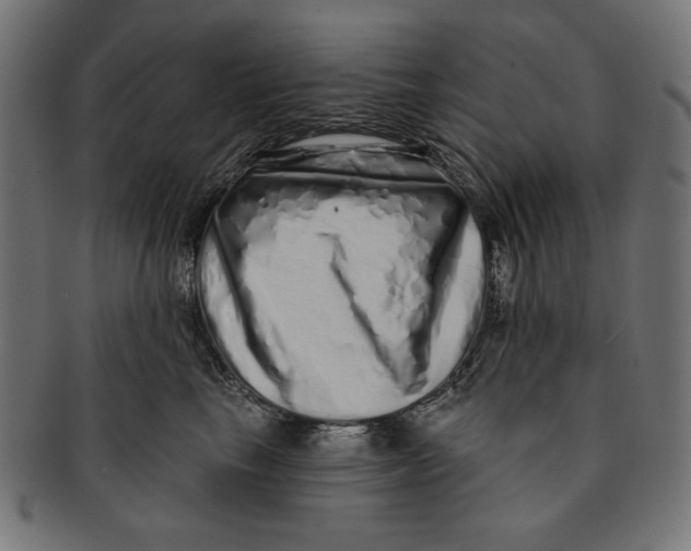 X0000091210665200709061440