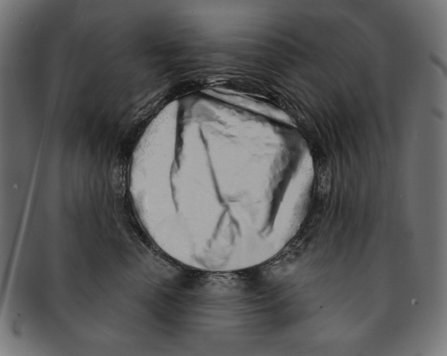 X0000091210666200709061440