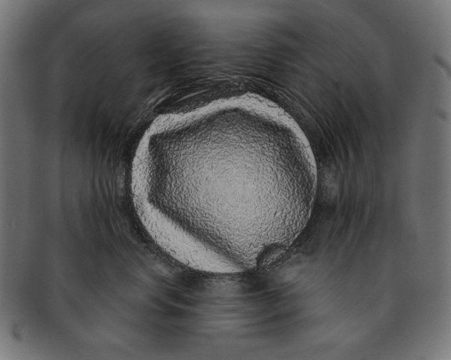 X0000091210668200709061440