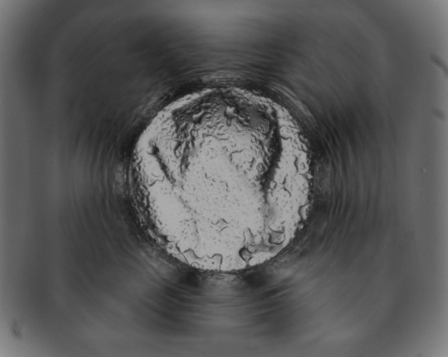 X0000091210669200709061440