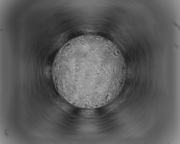 X0000091210671200709061440