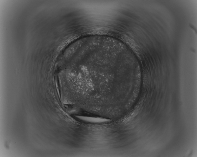 X0000091210673200709061440