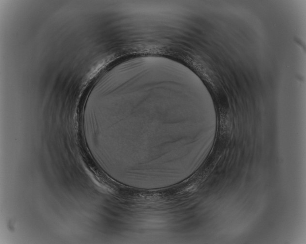 X0000091210674200709061440