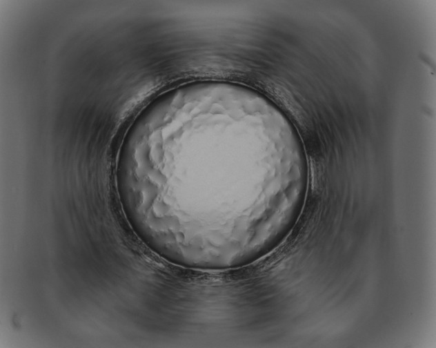 X0000091210675200709061440