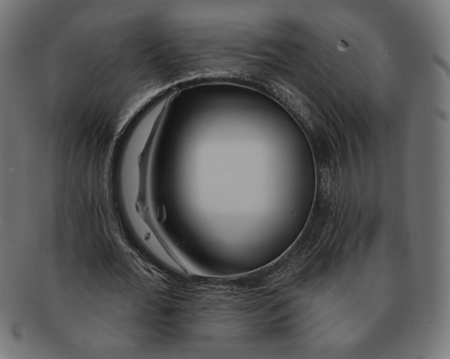 X0000091210676200709061440