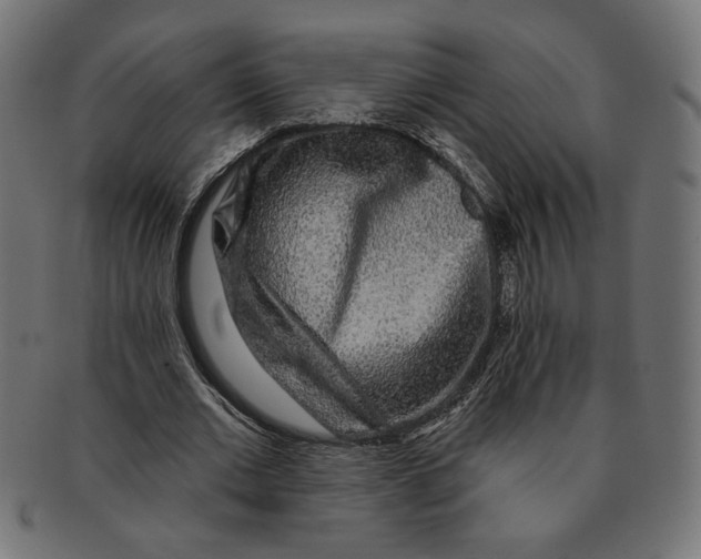 X0000091210677200709061440