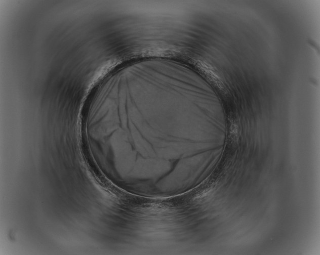 X0000091210678200709061440