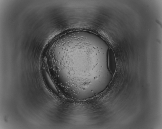 X0000091210680200709061440