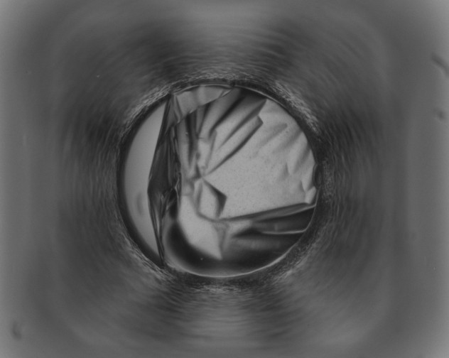 X0000091210681200709061440