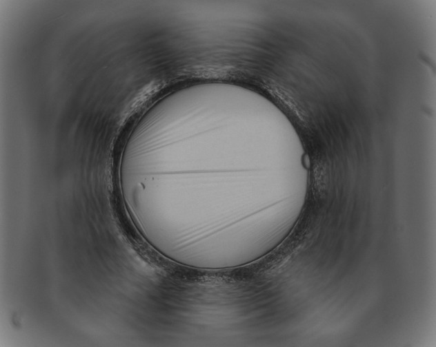 X0000091210682200709061440