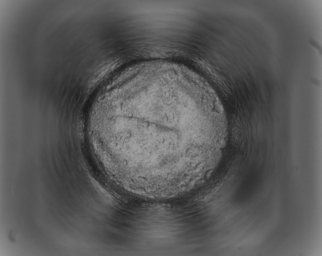 X0000091210683200709061440