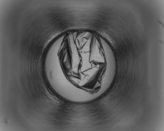 X0000091210684200709061440