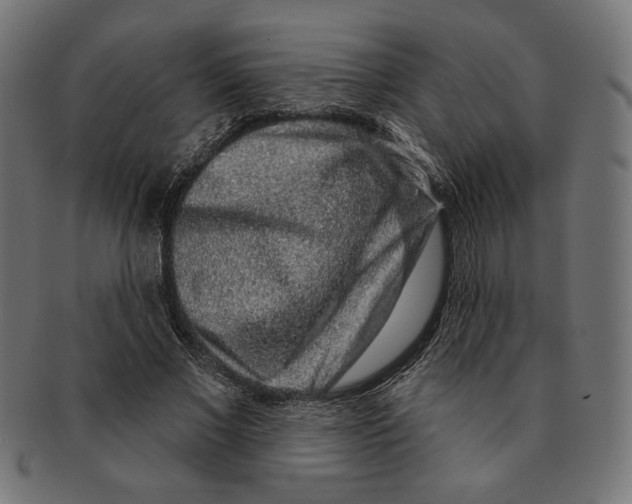 X0000091210685200709061440