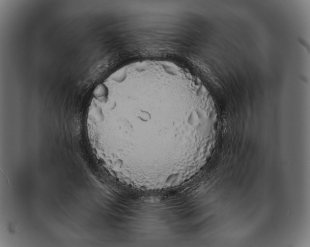 X0000091210687200709061440