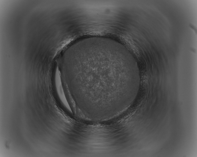 X0000091210688200709061440