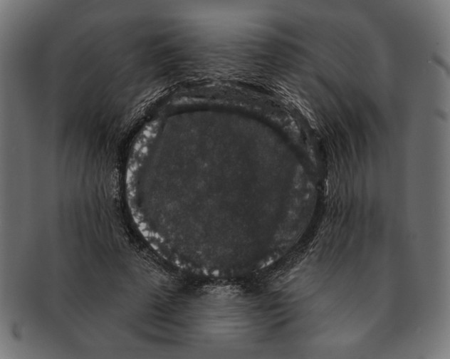 X0000091210689200709061440