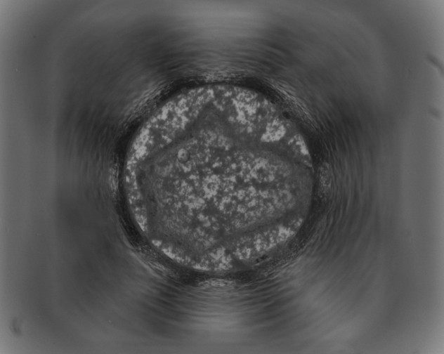 X0000091210691200709061440