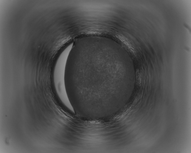 X0000091210692200709061440