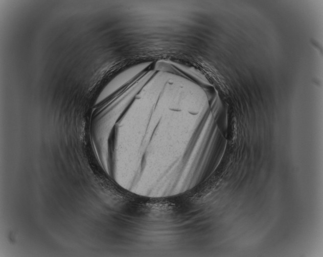 X0000091210693200709061440